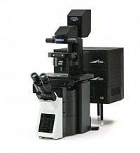 OLYMPUS FV3000  Evident